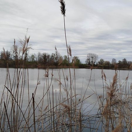 L'Albizia Gite Climatise St Maurice Saint-Maurice-en-Riviere Exterior foto