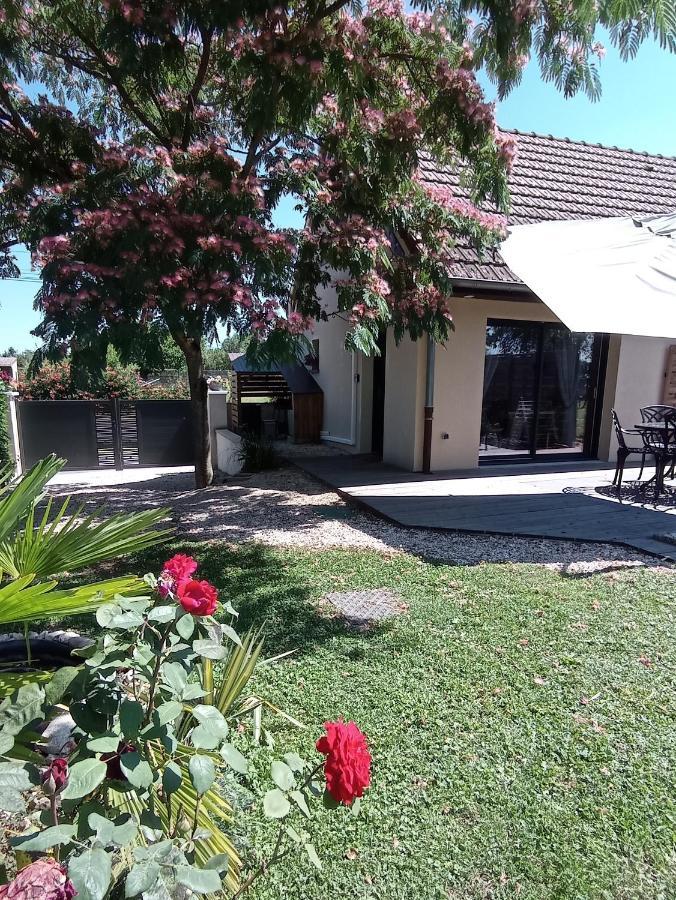 L'Albizia Gite Climatise St Maurice Saint-Maurice-en-Riviere Exterior foto