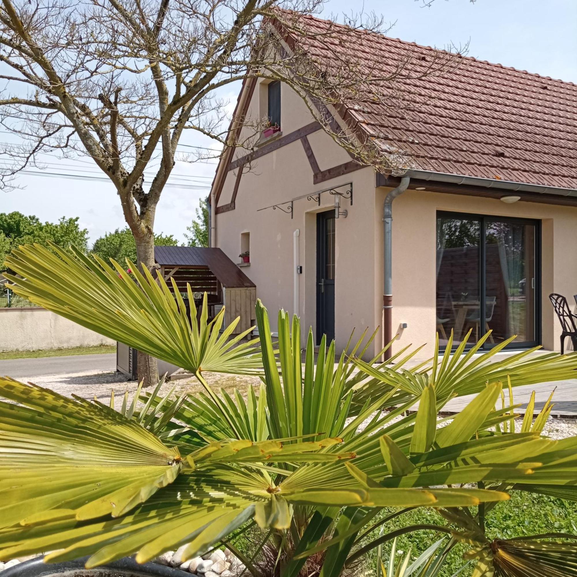 L'Albizia Gite Climatise St Maurice Saint-Maurice-en-Riviere Exterior foto